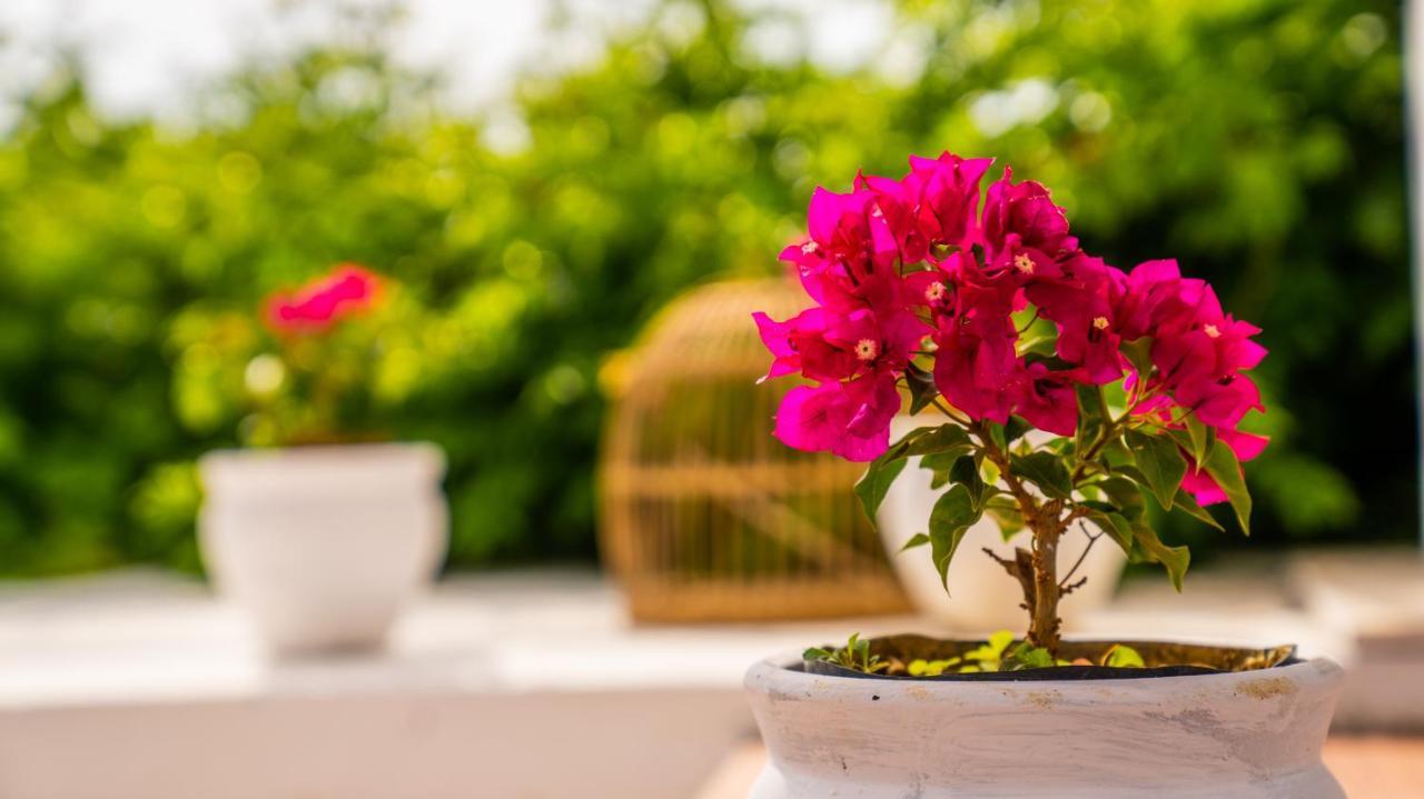 Club Beyy Resort Hotel İzmir Eksteriør bilde